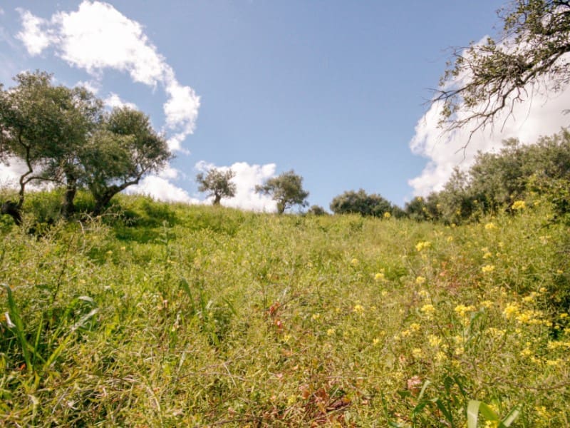 2 soveværelse Finca/Landehus til salg i Coin - € 85.000 (Ref: 8911469)