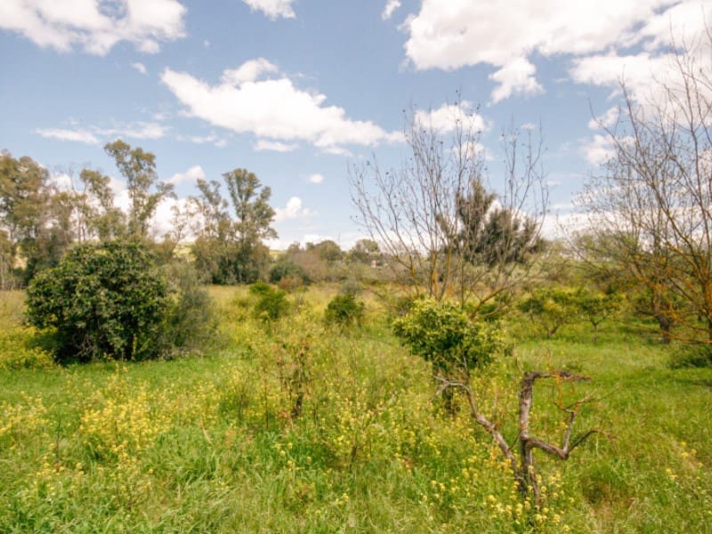 2 soveværelse Finca/Landehus til salg i Coin - € 85.000 (Ref: 8911469)