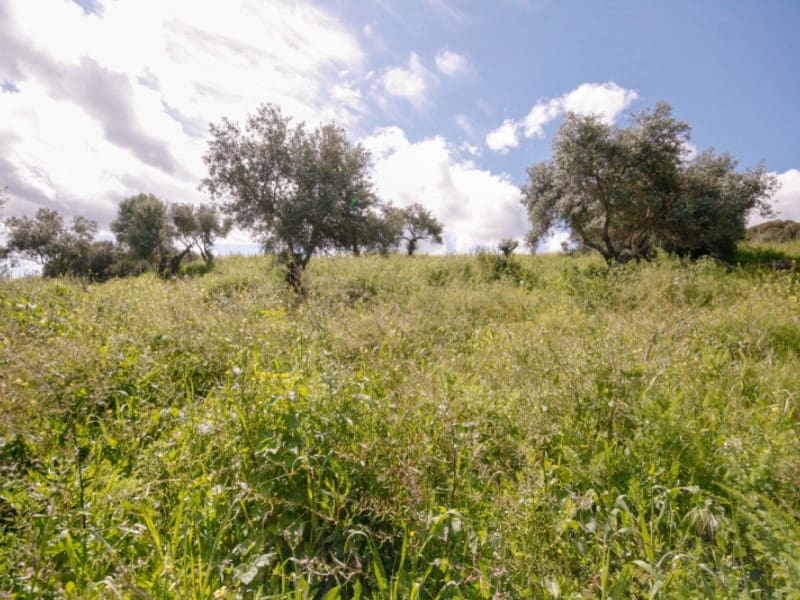 2 soveværelse Finca/Landehus til salg i Coin - € 85.000 (Ref: 8911469)