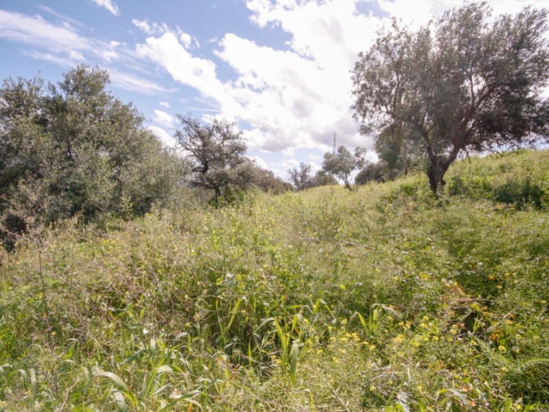 2 soveværelse Finca/Landehus til salg i Coin - € 85.000 (Ref: 8911469)