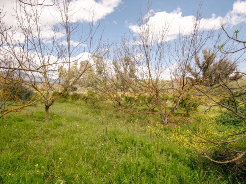 2 soveværelse Finca/Landehus til salg i Coin - € 85.000 (Ref: 8911469)