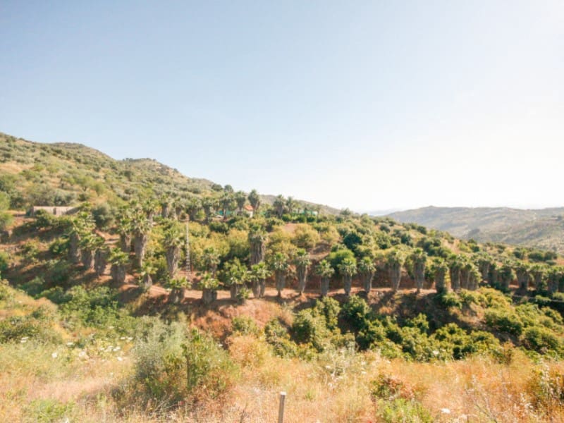 1 soveværelse Finca/Landehus til salg i Monda - € 545.000 (Ref: 9017409)