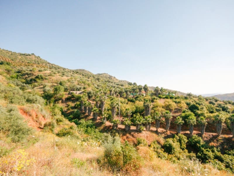 1 soveværelse Finca/Landehus til salg i Monda - € 545.000 (Ref: 9017409)