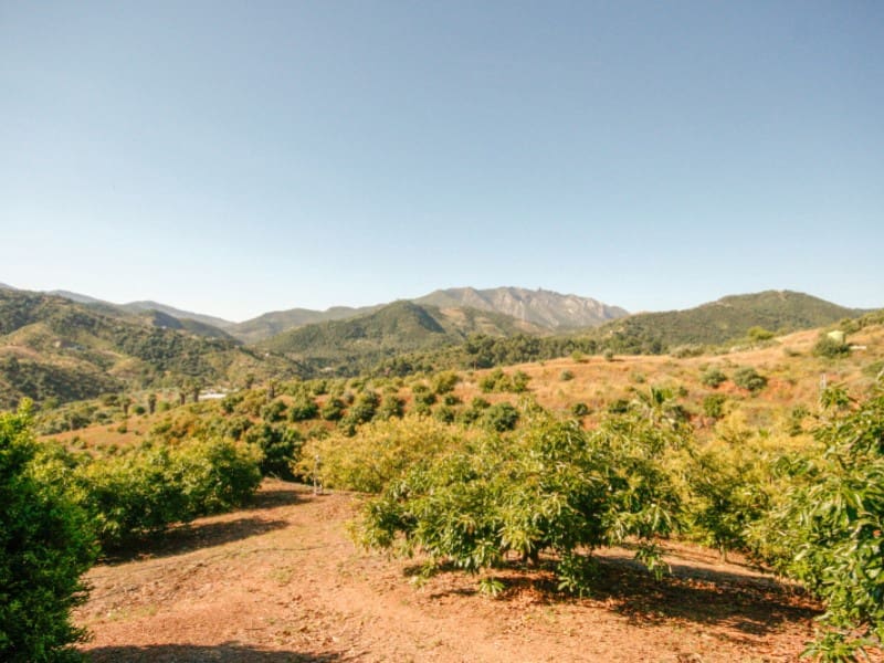 1 soveværelse Finca/Landehus til salg i Monda - € 545.000 (Ref: 9017409)