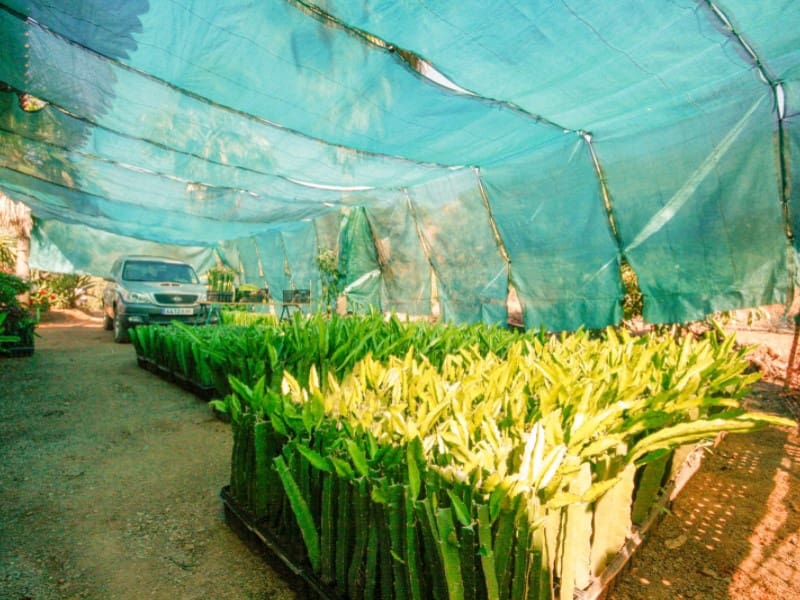 1 soveværelse Finca/Landehus til salg i Monda - € 545.000 (Ref: 9017409)