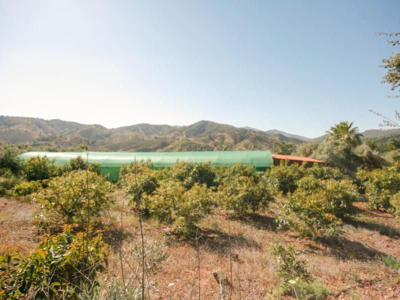 1 soveværelse Finca/Landehus til salg i Monda - € 545.000 (Ref: 9017409)