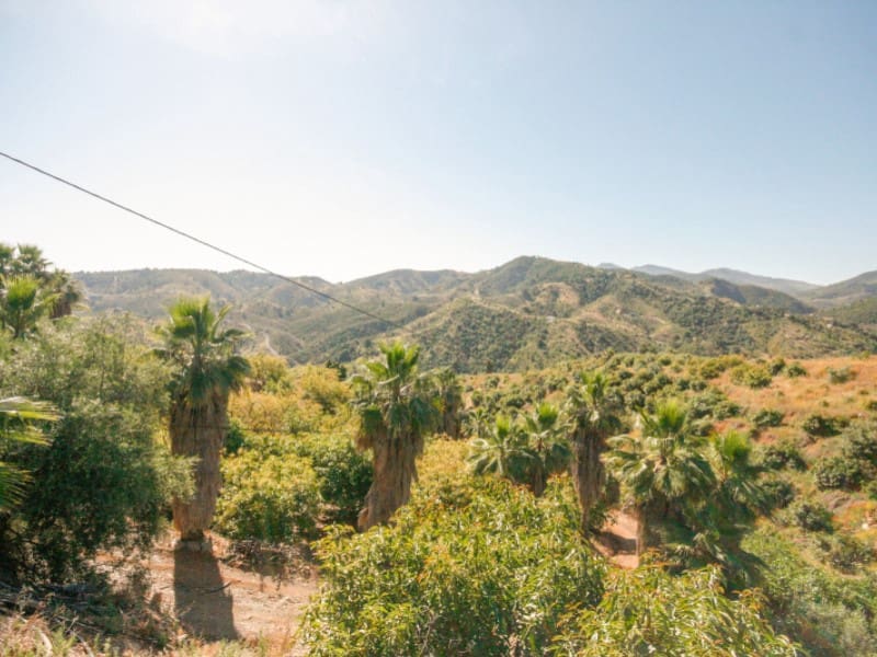 1 soveværelse Finca/Landehus til salg i Monda - € 545.000 (Ref: 9017409)