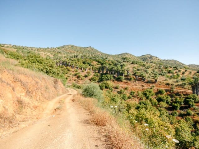 1 soveværelse Finca/Landehus til salg i Monda - € 545.000 (Ref: 9017409)