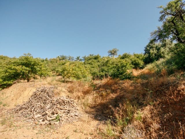 1 soveværelse Finca/Landehus til salg i Monda - € 545.000 (Ref: 9017409)