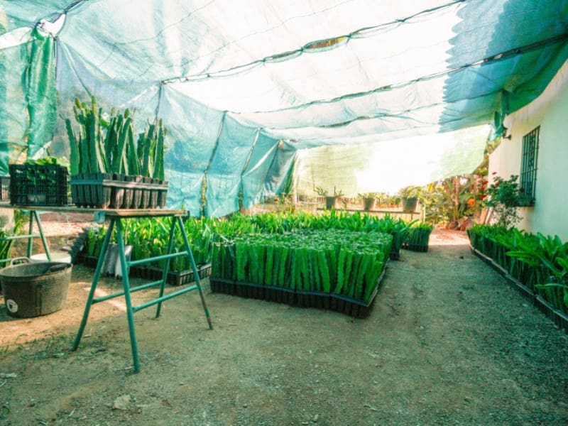 1 soveværelse Finca/Landehus til salg i Monda - € 545.000 (Ref: 9017409)