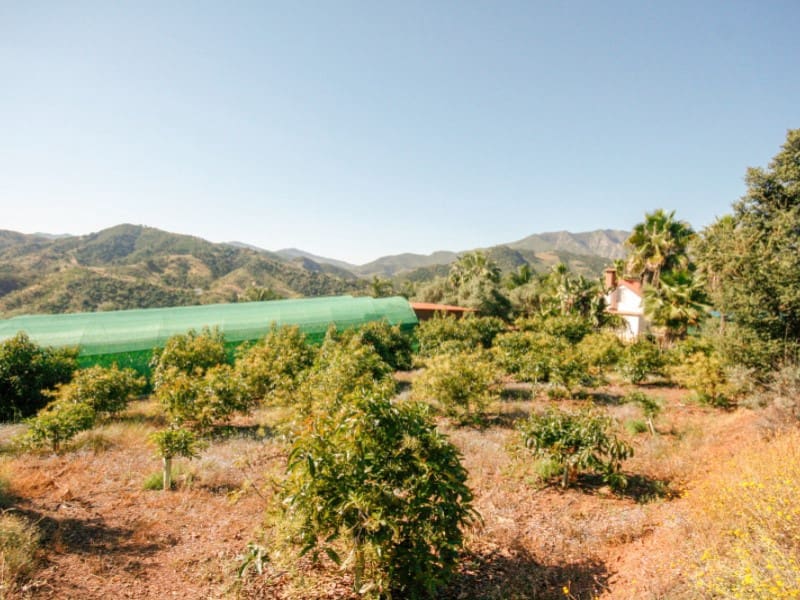 1 soveværelse Finca/Landehus til salg i Monda - € 545.000 (Ref: 9017409)