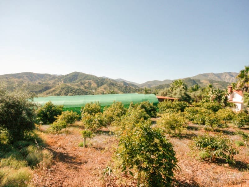 1 soveværelse Finca/Landehus til salg i Monda - € 545.000 (Ref: 9017409)