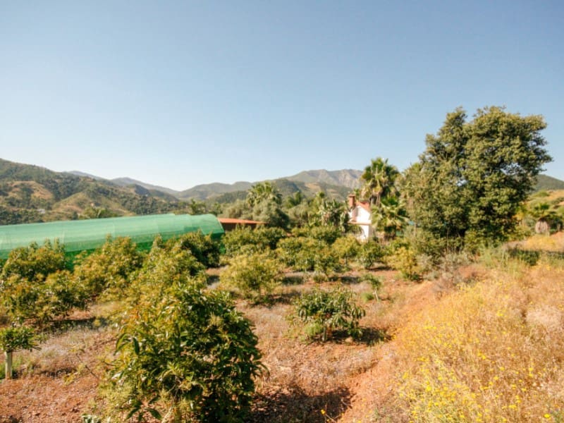 1 soveværelse Finca/Landehus til salg i Monda - € 545.000 (Ref: 9017409)