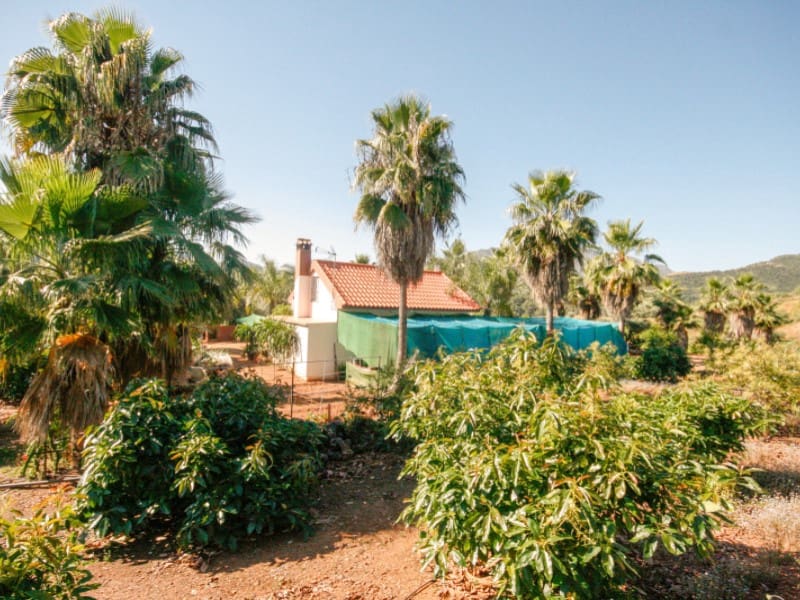 1 soveværelse Finca/Landehus til salg i Monda - € 545.000 (Ref: 9017409)