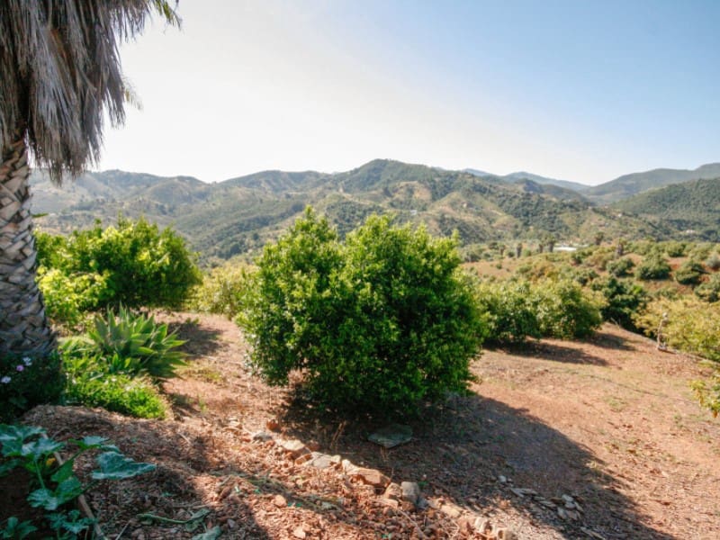 1 soveværelse Finca/Landehus til salg i Monda - € 545.000 (Ref: 9017409)