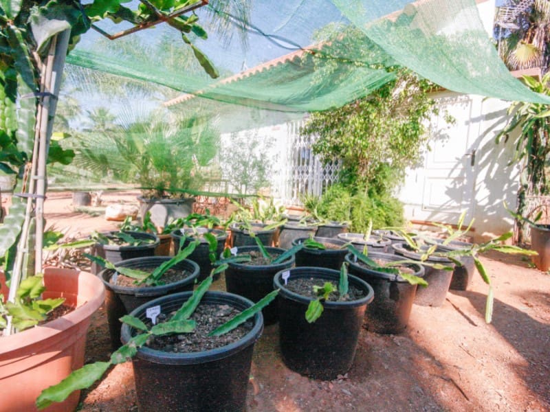 1 soveværelse Finca/Landehus til salg i Monda - € 545.000 (Ref: 9017409)