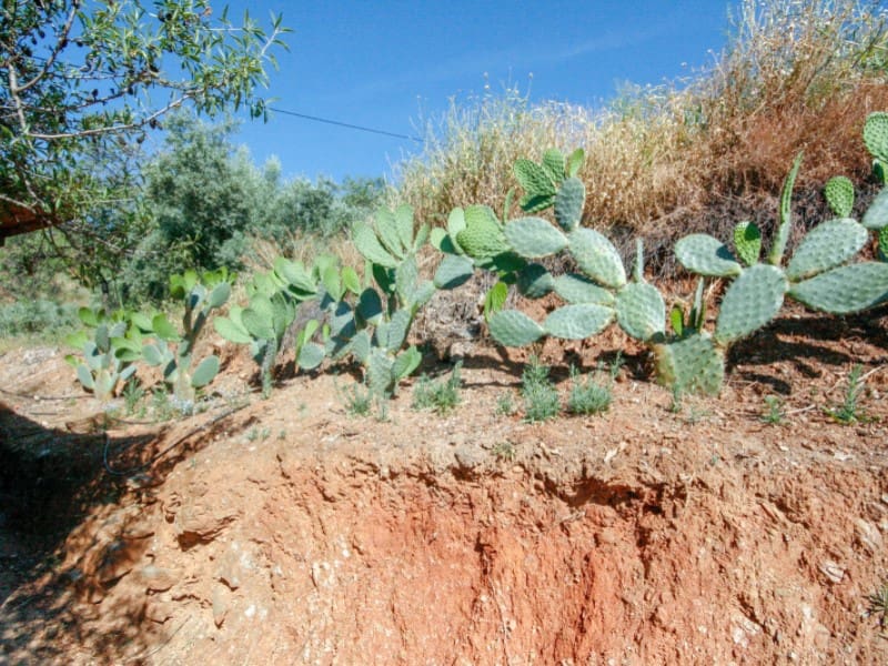 1 soveværelse Finca/Landehus til salg i Monda - € 545.000 (Ref: 9017409)