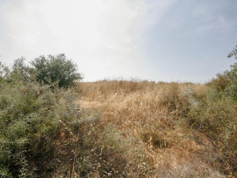 Tomt till salu i Coin - 158 000 € (Ref: 9065425)