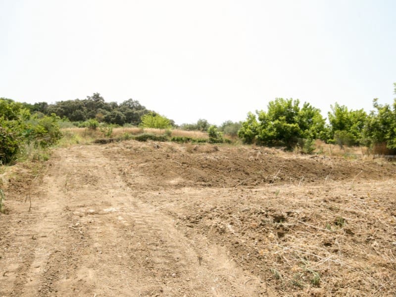 Finca/Casa Rural de 2 habitaciones en Coín en venta - 135.000 € (Ref: 9161229)