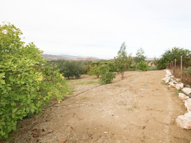 3 sypialnia Finka/Dom wiejski na sprzedaż w Coin - 435 000 € (Ref: 9406429)