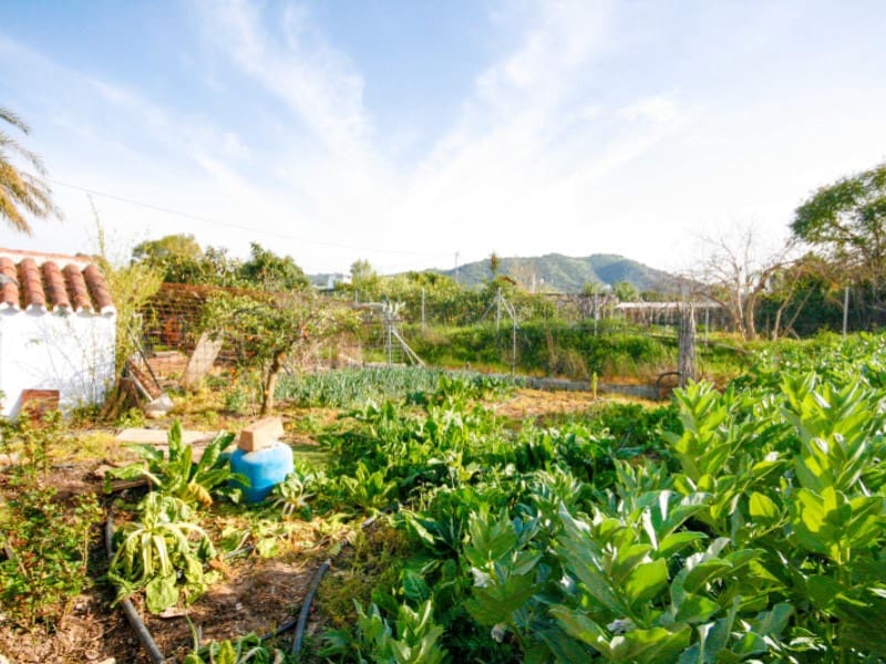 3 sovrum Finca/Hus på landet till salu i Coin - 289 000 € (Ref: 9651872)