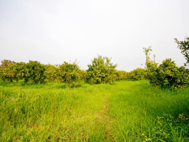 Finka/Dom wiejski na sprzedaż w Cártama - 85 000 € (Ref: 9666197)