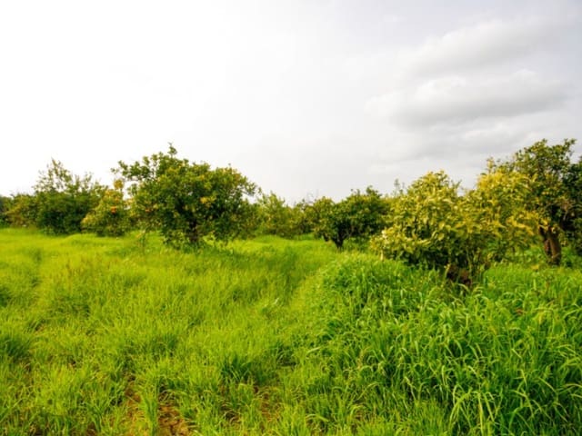 Finka/Dom wiejski na sprzedaż w Cártama - 85 000 € (Ref: 9666197)