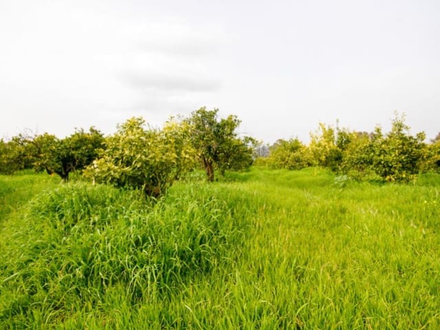 Finka/Dom wiejski na sprzedaż w Cártama - 85 000 € (Ref: 9666197)