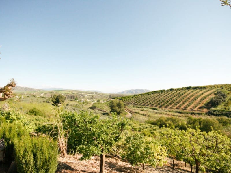 2 Zimmer Finca/Landgut zu verkaufen in Coin - 239.000 € (Ref: 9780313)