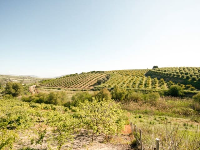 2 Zimmer Finca/Landgut zu verkaufen in Coín - 239.000 € (Ref: 9780313)