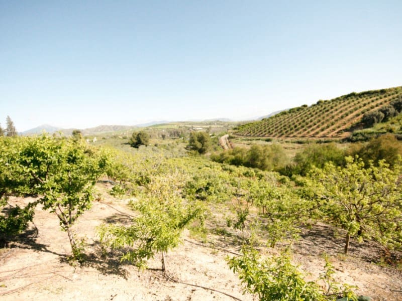 2 Zimmer Finca/Landgut zu verkaufen in Coin - 239.000 € (Ref: 9780313)