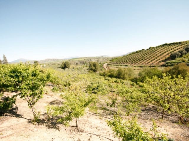 2 Zimmer Finca/Landgut zu verkaufen in Coín - 239.000 € (Ref: 9780313)