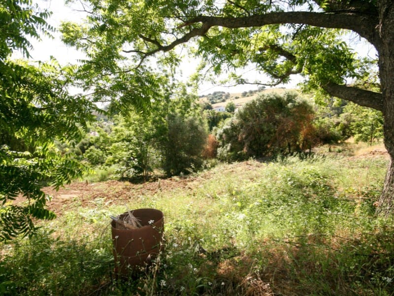 2 bedroom Finca/Country House for sale in Coin - € 192,000 (Ref: 9875854)
