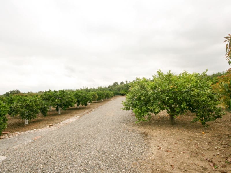3 slaapkamer Finca/Landhuis te koop in Alhaurin el Grande - € 461.250 (Ref: 9904214)