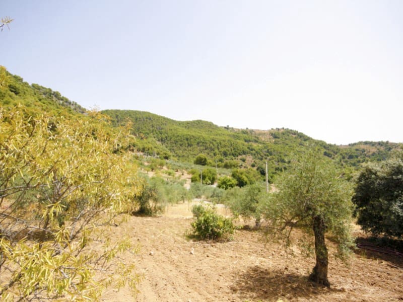 2 soverom Finca/Herregård til leie i Tolox med svømmebasseng garasje - € 1 000 (Ref: 9978477)