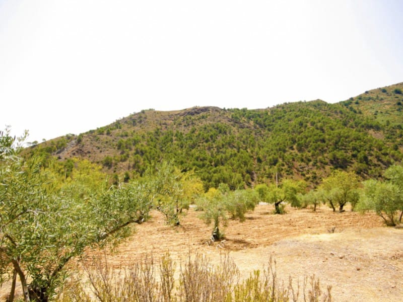 2 soverom Finca/Herregård til leie i Tolox med svømmebasseng garasje - € 1 000 (Ref: 9978477)