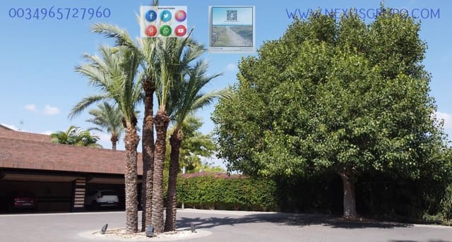 6 camera da letto Villa in vendita in La Algoda - Matola - El Pla, Elche / Elx con piscina garage - 1.850.000 € (Rif: 9723480)