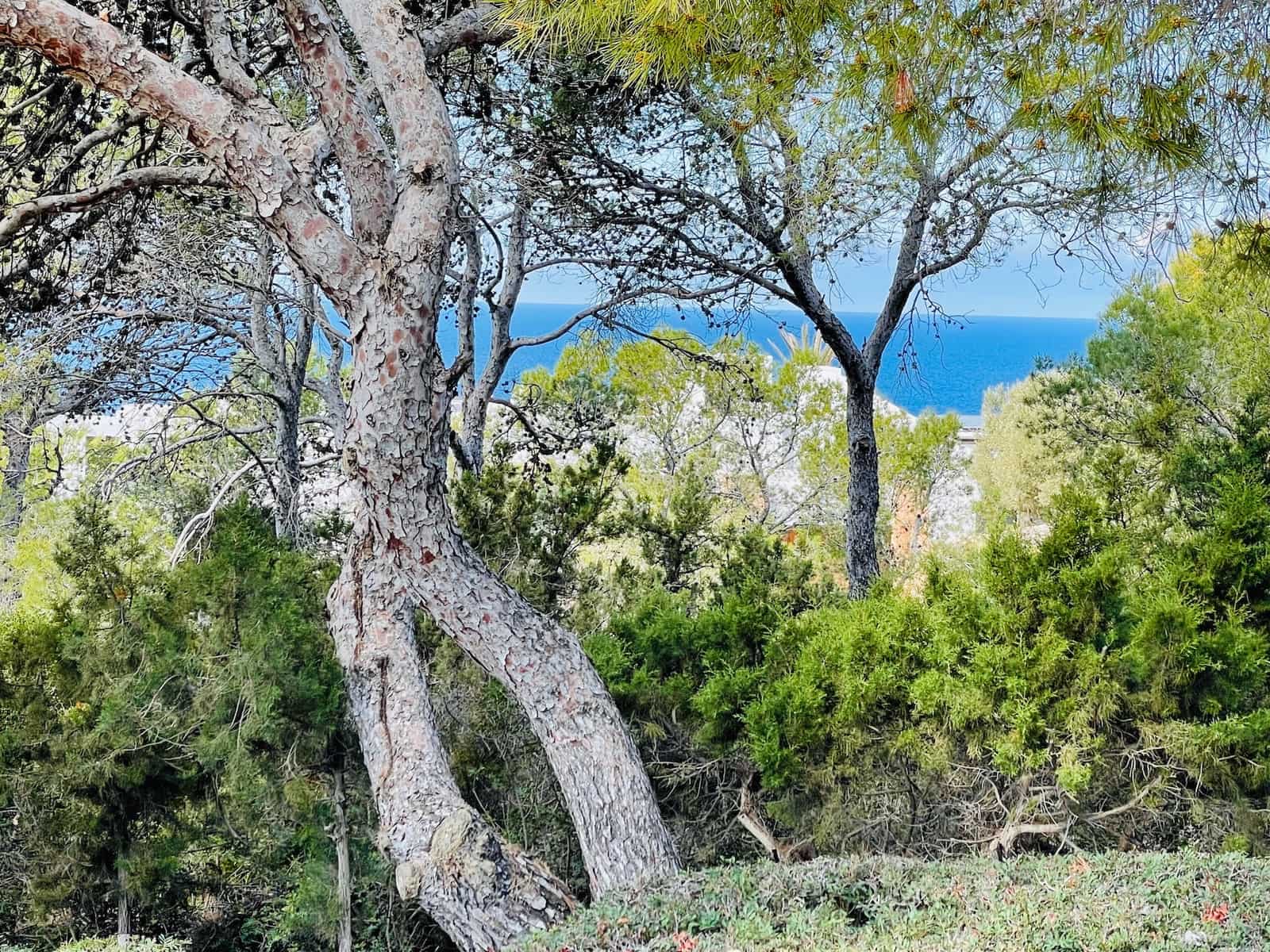 4 soverom Villa til salgs i Calo d'en Real med svømmebasseng - € 1 850 000 (Ref: 7504085)