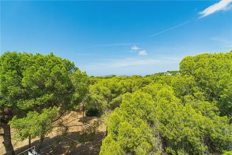 7 Zimmer Villa zu verkaufen in Calvia mit Pool Garage - 1.795.000 € (Ref: 10041692)
