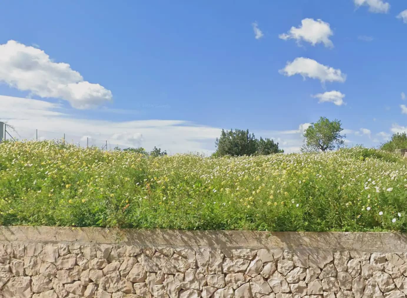 Byggegrund til salg i Vilafranca de Bonany - € 350.000 (Ref: 10095045)