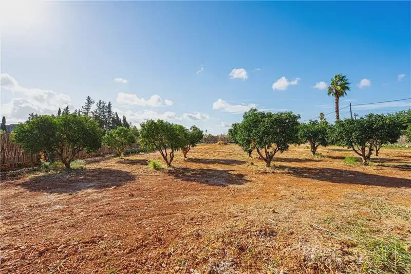 Undeveloped Land for rent in Santa Maria del Cami - € 400 (Ref: 10112154)