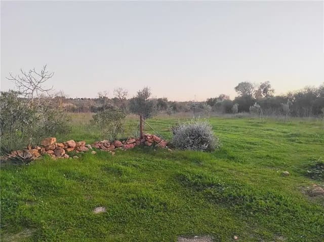2 chambre Finca/Maison de Campagne à vendre à Sant Jordi, Palma de Mallorca - 400 000 € (Ref: 10147461)
