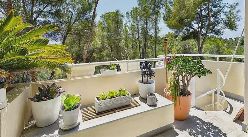 4 chambre Appartement à vendre à Calvia avec piscine garage - 1 695 000 € (Ref: 10155568)