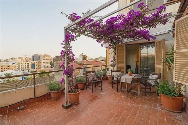 3 slaapkamer Penthouse te koop in Palma de Mallorca - € 525.000 (Ref: 10170250)