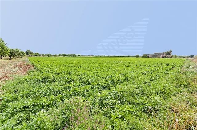 2 camera da letto Finca/Casa di Campagna in vendita in Sa Pobla - 735.000 € (Rif: 3119056)