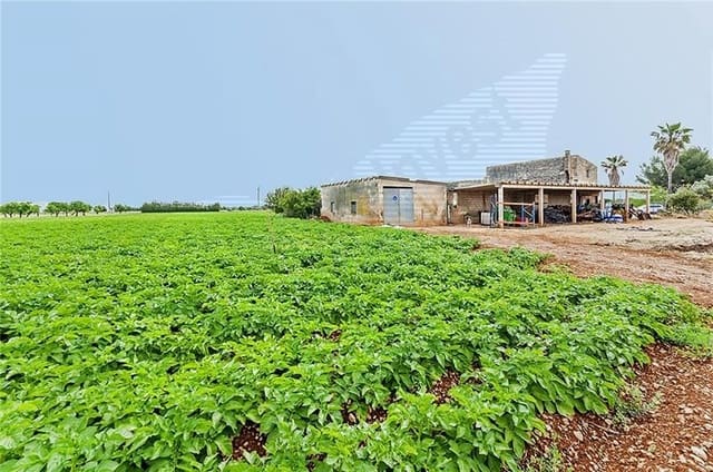 2 camera da letto Finca/Casa di Campagna in vendita in Sa Pobla - 735.000 € (Rif: 3119056)