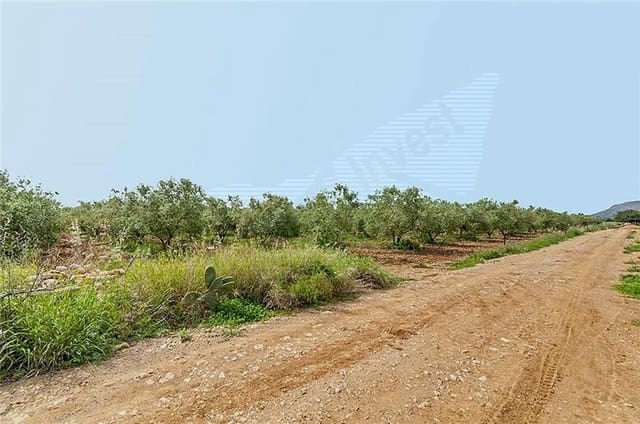 2 camera da letto Finca/Casa di Campagna in vendita in Sa Pobla - 735.000 € (Rif: 3119056)