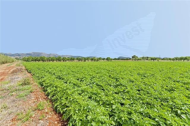 2 camera da letto Finca/Casa di Campagna in vendita in Sa Pobla - 735.000 € (Rif: 3119056)