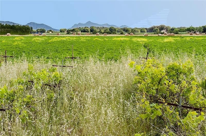 2 soverom Finca/Herregård til salgs i Sa Pobla - € 735 000 (Ref: 3119056)