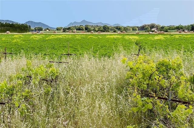 2 camera da letto Finca/Casa di Campagna in vendita in Sa Pobla - 735.000 € (Rif: 3119056)